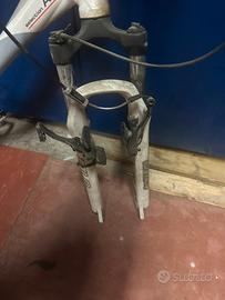 Forcelle Ruote 26. Pollici