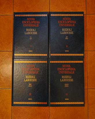 Enciclopedia Universale Rizzoli Larousse 20 volumi