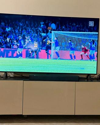 Besta Ikea porta tv