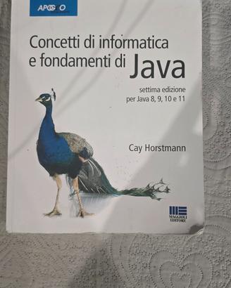 Concetti di informatica e fondamenti di Java