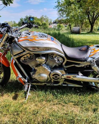 V-Rod Screamin Eagle Limited