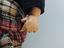 Immagine 6