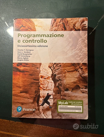 Programmazione e controllo
