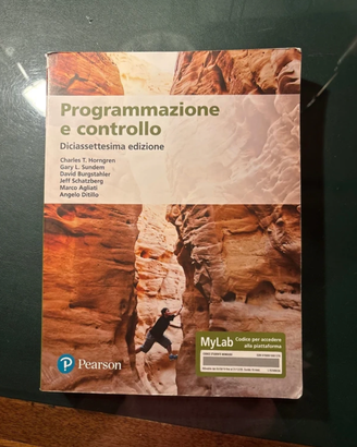 Programmazione e controllo