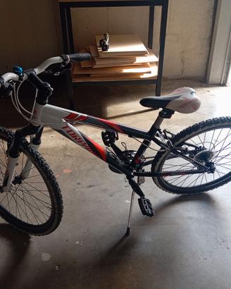 Bicicletta