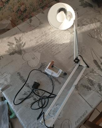lampada 