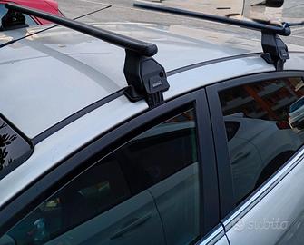 Porta pacchi auto