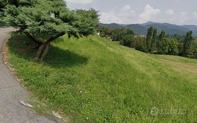 Terreno agricolo prato per pascolo