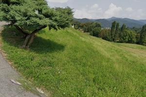Terreno agricolo prato per pascolo
