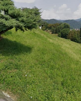 Terreno agricolo prato per pascolo