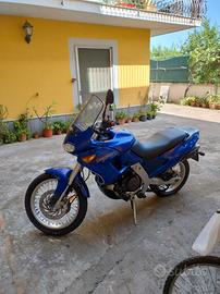 Aprilia Pegaso 650 - 2001