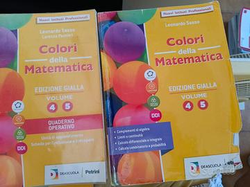 I colori della matematica 4 5