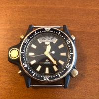 Citizen Aqualand titanio