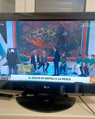 televisore a colori lg   31 pollici  come  nuovo