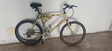 Bicicletta Mountan Byke