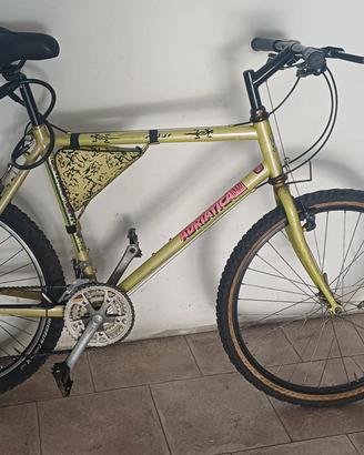 Bicicletta Mountan Byke