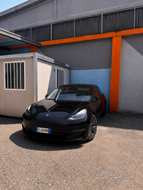 Testa Model 3 Long Dual Motore 2021