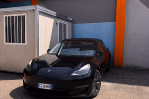 Testa Model 3 Long Dual Motore 2021