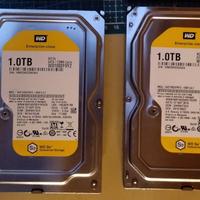 Lotto di n.2 Hard Disk SATA da 3,5" WD enterprise