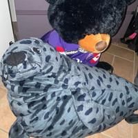 Peluche orso e foca