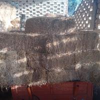 Fieno erba medica 3 taglio 2024