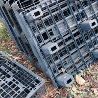 Pallet plastica