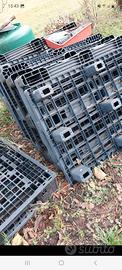 Pallet plastica