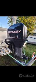 Mercury optimax 150cv