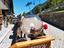 Immagine 10