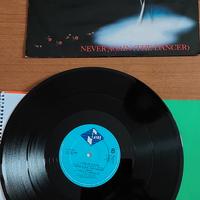 vinile a flock of seagulls