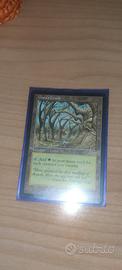 Gaea's cradle