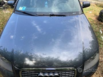 COFANO ANTERIORE AUDI A3 Serie (8P1) COFANO AUDI (