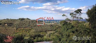 Casa abbinata con giardino Monte San Vito