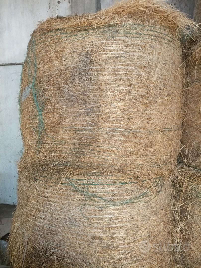 Balloni di fieno - Animali In vendita a Parma