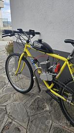 bicicletta a motore