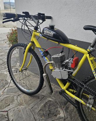 bicicletta a motore