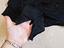 Immagine 5