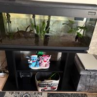Acquario 100 litri