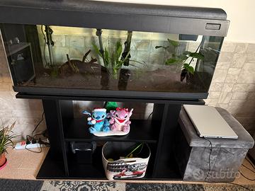Acquario 100 litri