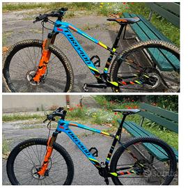 MTB 29 Torpado Ribot X 