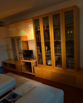 Libreria e mobile tv