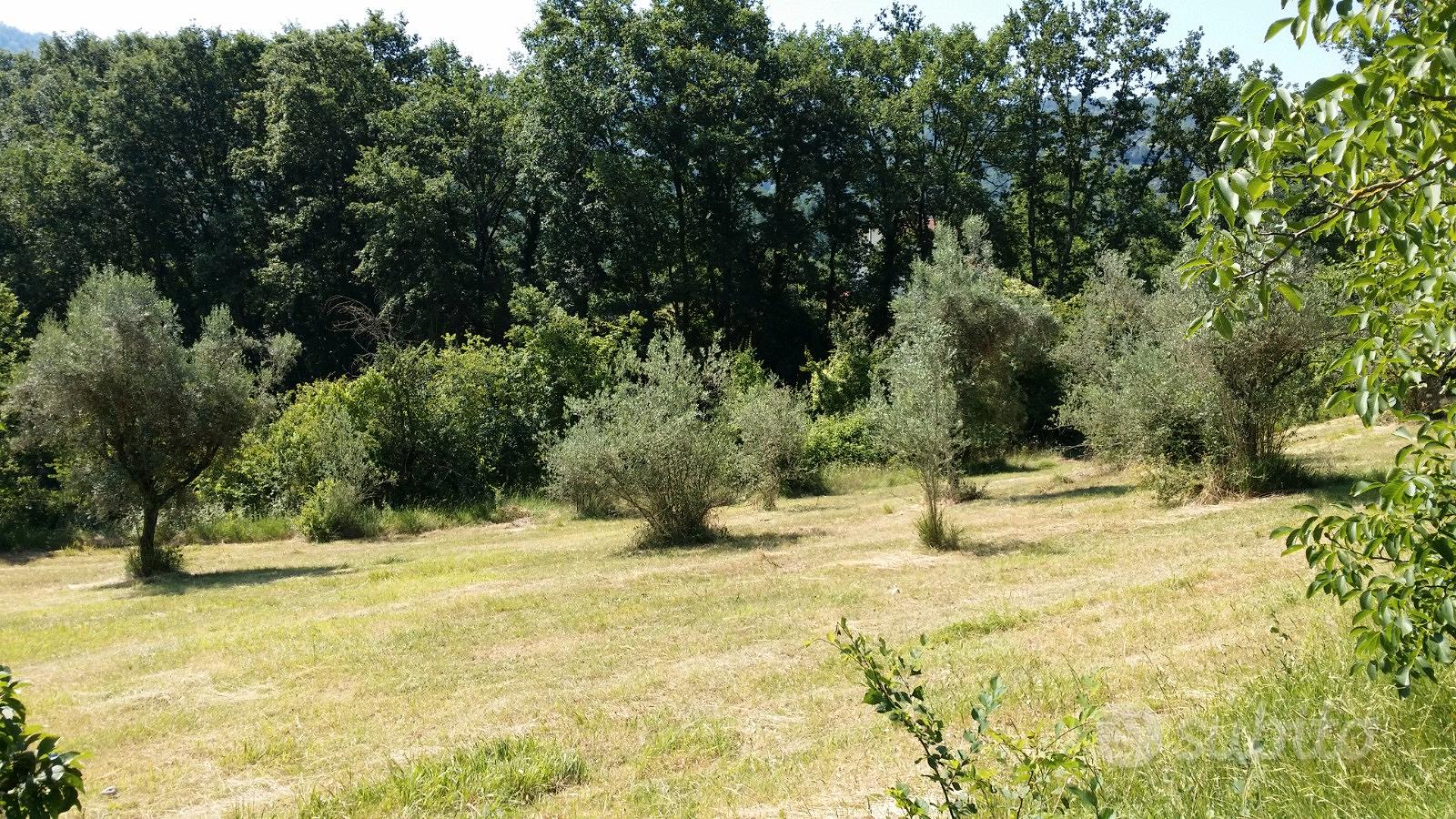 Casolare di campagna più terreni - Vista 4