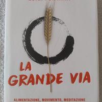 La grande via - Franco Berrino Luigi Fontana 