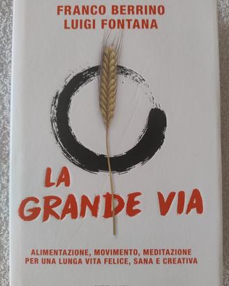 La grande via - Franco Berrino Luigi Fontana 