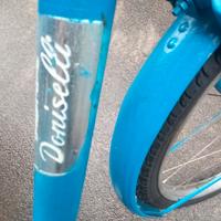 bici tipo Graziella pieghevole raggio 24.