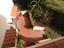 Immagine 20