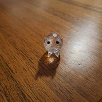 Maialino in cristallo  Marca Swarovski più omaggio