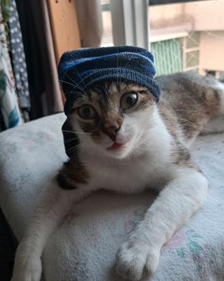 Rende felice una piccolina