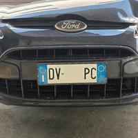 Griglia INDIVIDUAL Ford Fiesta