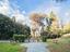 Immagine 7